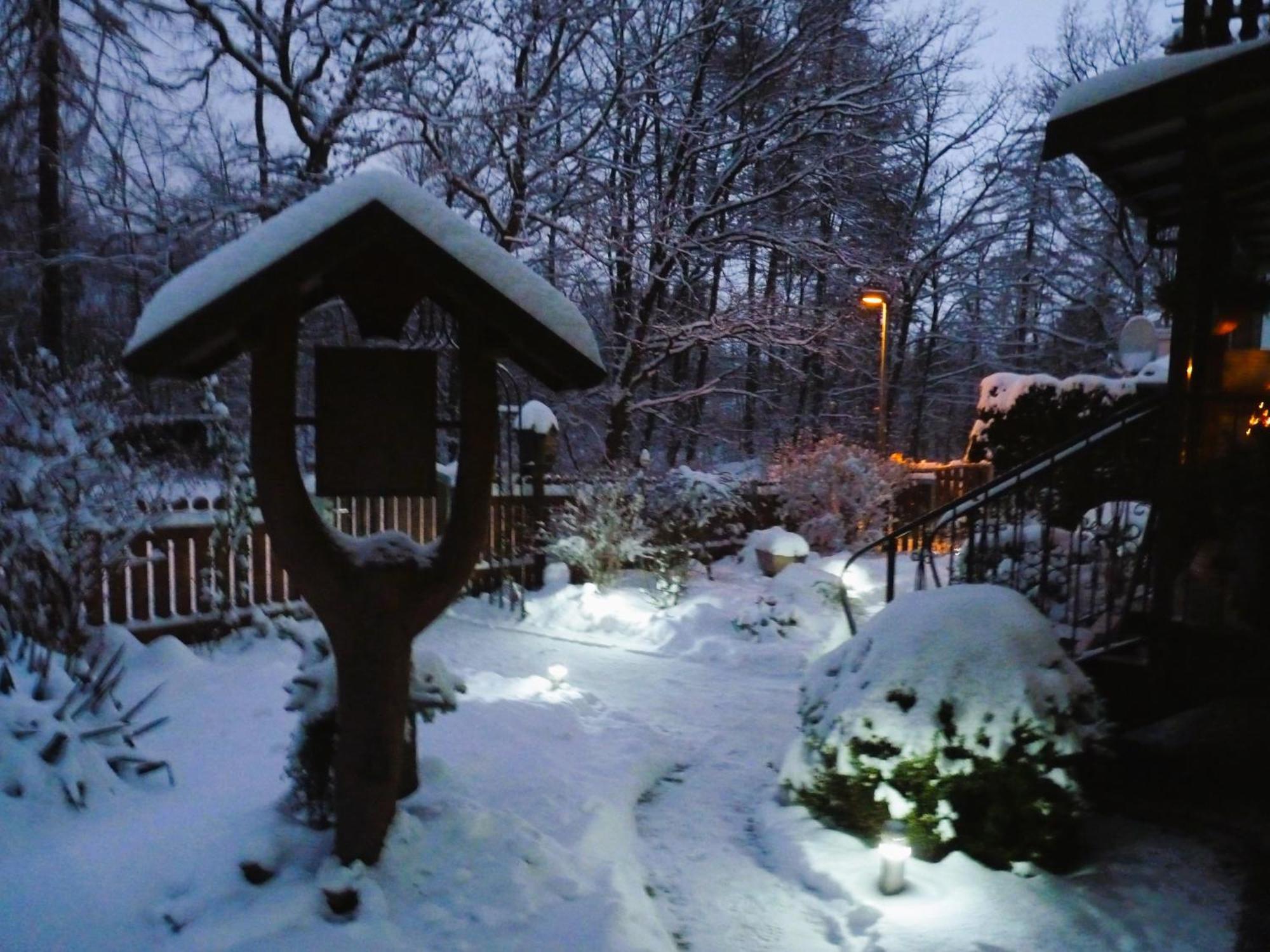 Ferienwohnung Im Wald Mit Kamin Bad Harzburg Ngoại thất bức ảnh