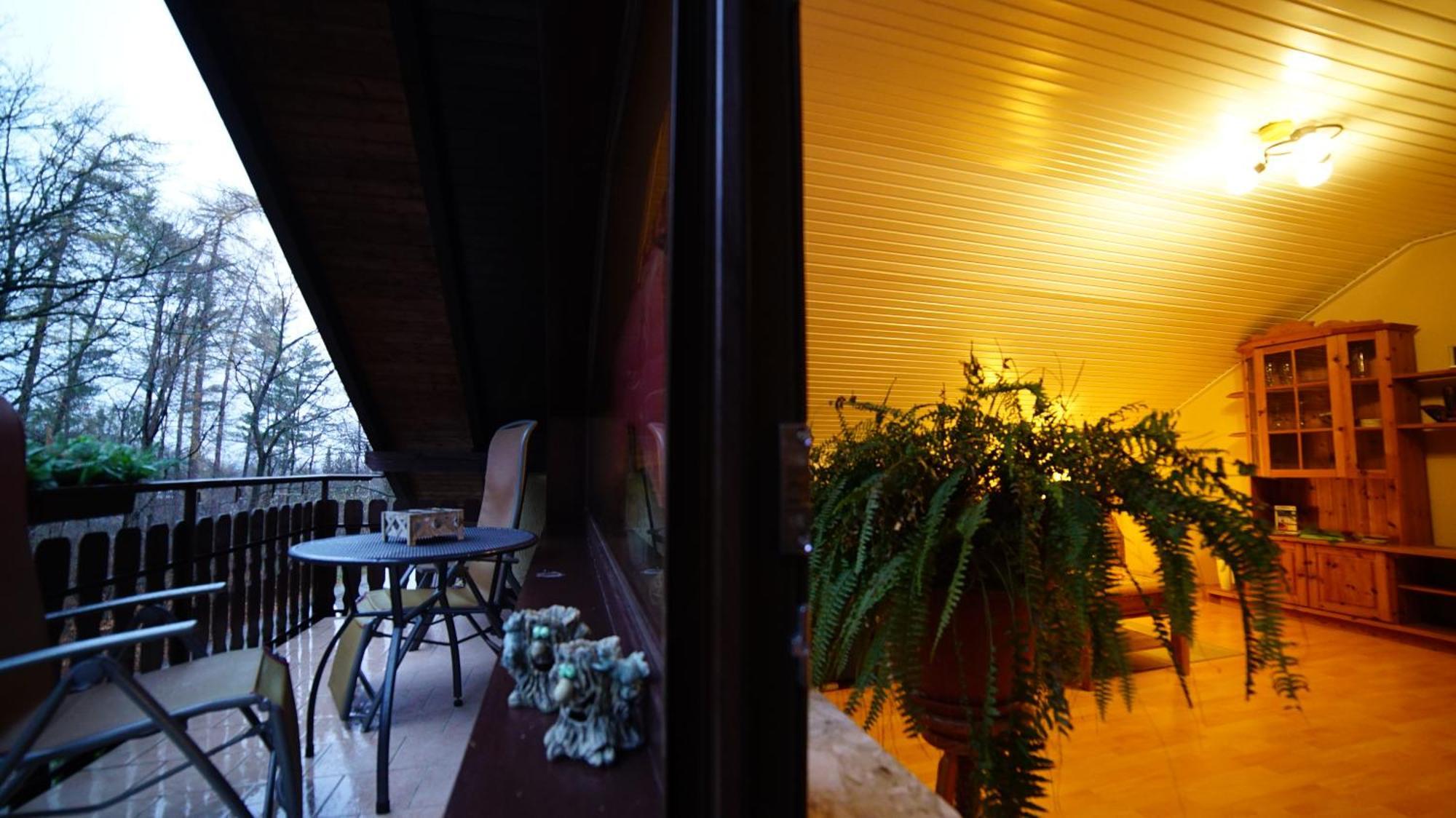Ferienwohnung Im Wald Mit Kamin Bad Harzburg Ngoại thất bức ảnh