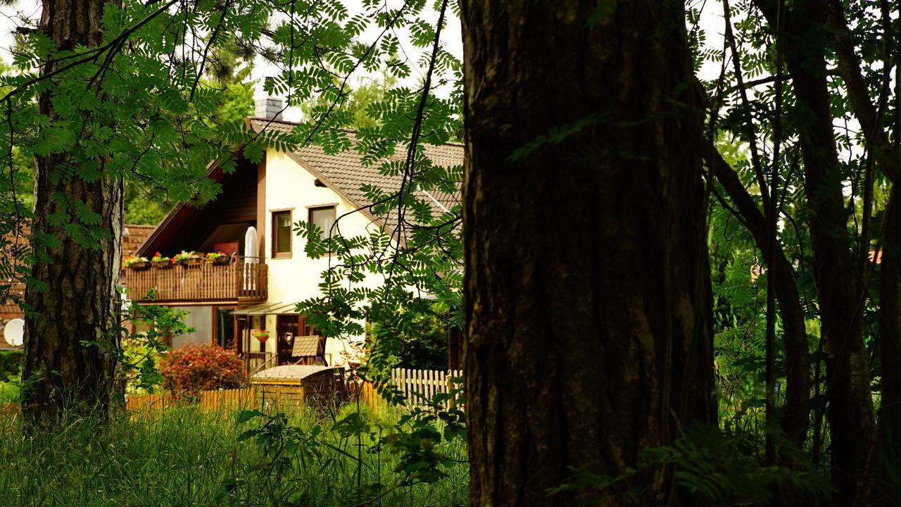 Ferienwohnung Im Wald Mit Kamin Bad Harzburg Ngoại thất bức ảnh