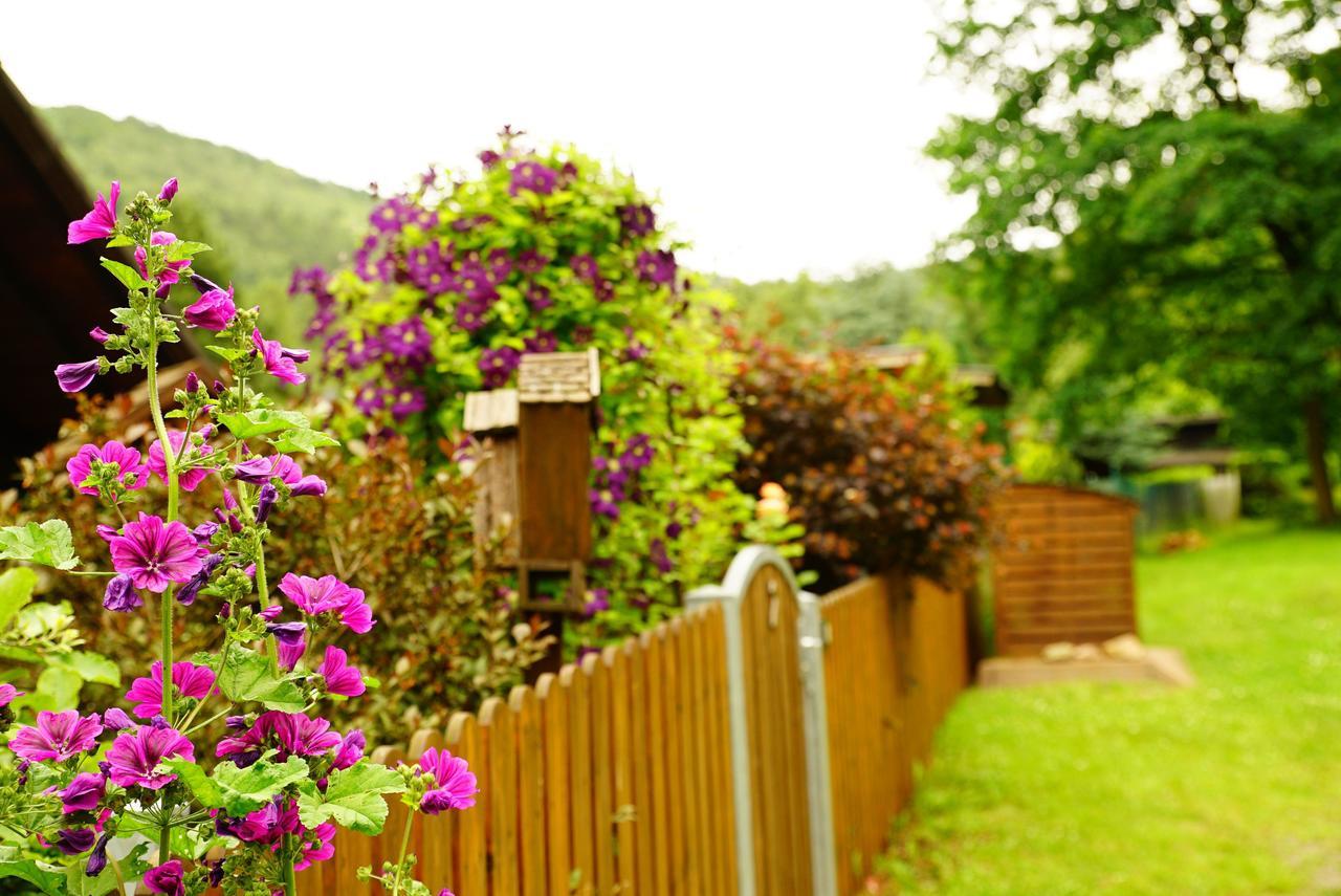 Ferienwohnung Im Wald Mit Kamin Bad Harzburg Ngoại thất bức ảnh
