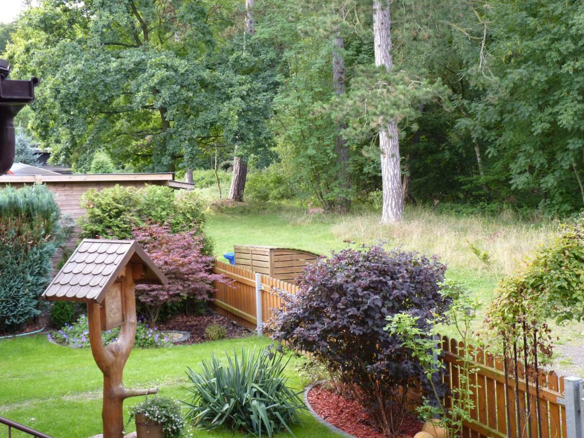 Ferienwohnung Im Wald Mit Kamin Bad Harzburg Ngoại thất bức ảnh
